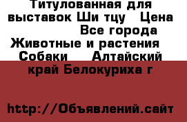 Титулованная для выставок Ши-тцу › Цена ­ 100 000 - Все города Животные и растения » Собаки   . Алтайский край,Белокуриха г.